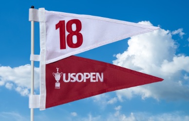 Limited Edition Double Pennant Flags