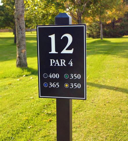 油彩 F8 アリゾナ バリーモニュメント サイン有り S.Koide FUSIONCORE TEE AND DIRECTIONAL SIGNS | Par Aide