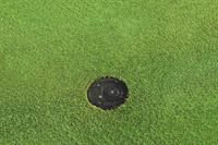 irrigation head after trimming