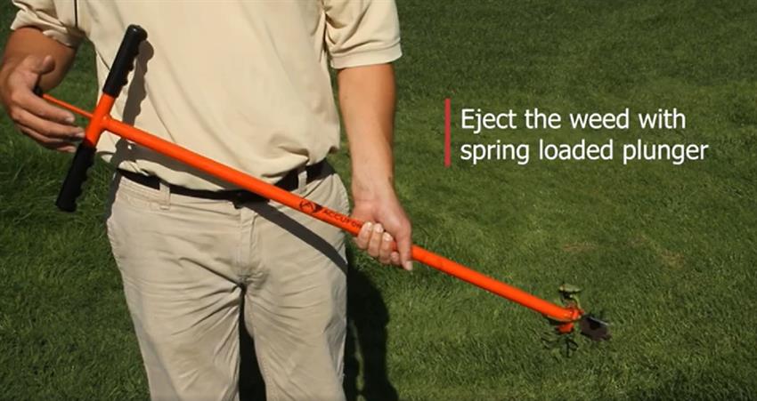 Accuform Weed Puller Par Aide
